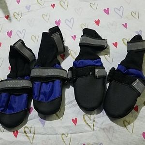 Blue Dog Shoes Medium Velcro